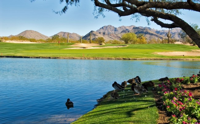 Arizona golf course, Moving to Mesa Arizona, Living in Phoenix real estate agents (3)