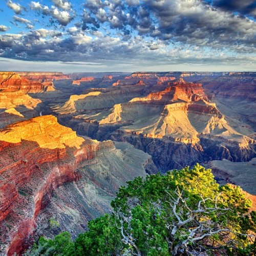 View of Grand Canyon, Pros and Cons of Living in Phoenix AZ, AZ Home Source realty (2)