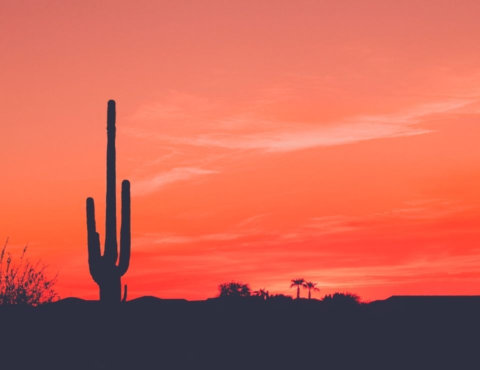 Phoenix desert heat, Top things to know about Moving to Phoenix