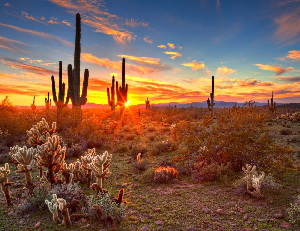Arizona landscape, Unique Arizona Laws