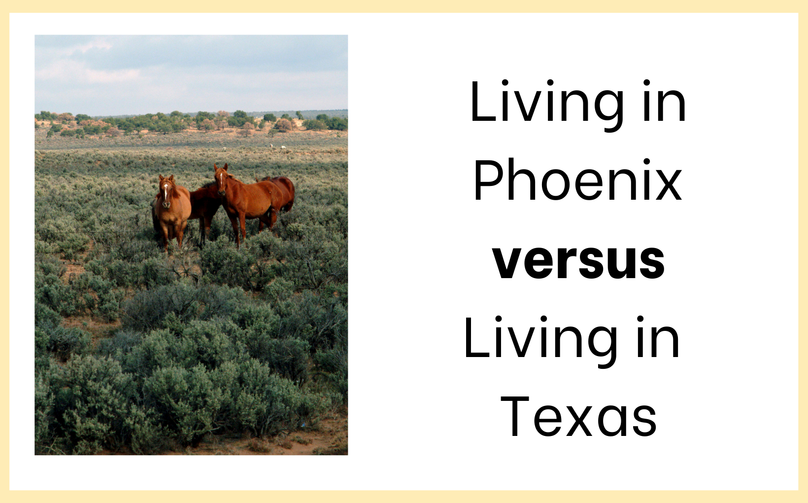 Living in PHX feature image