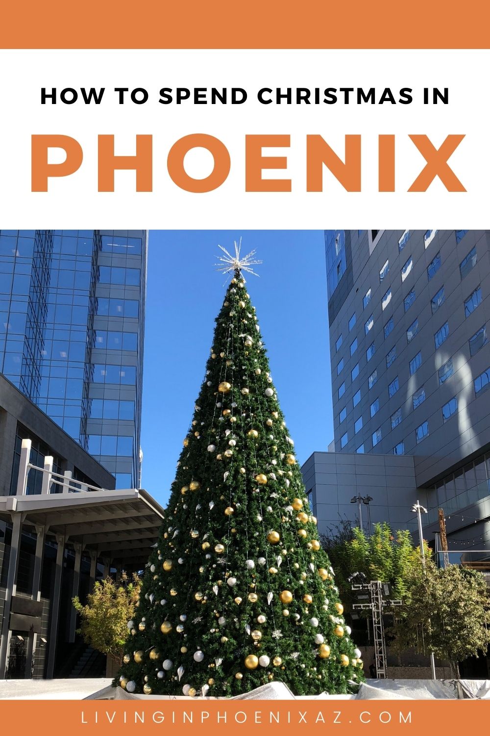 Things to do during the Holidays in Phoenix AZ pins (1)