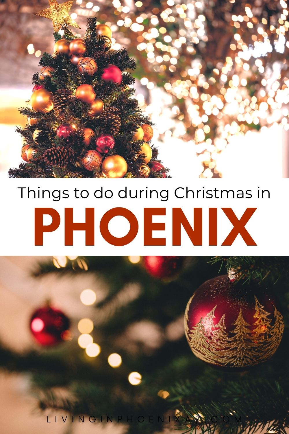 Things to do during the Holidays in Phoenix AZ pins (2)