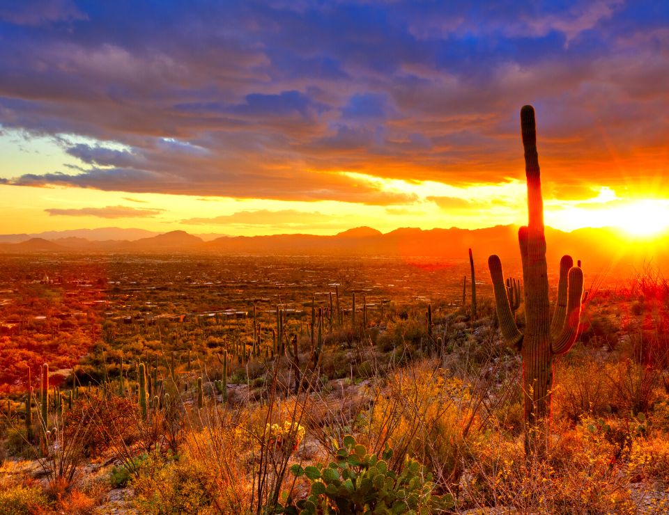 hot sunset in Arizona, New pros and cons of living in Phoenix Arizona