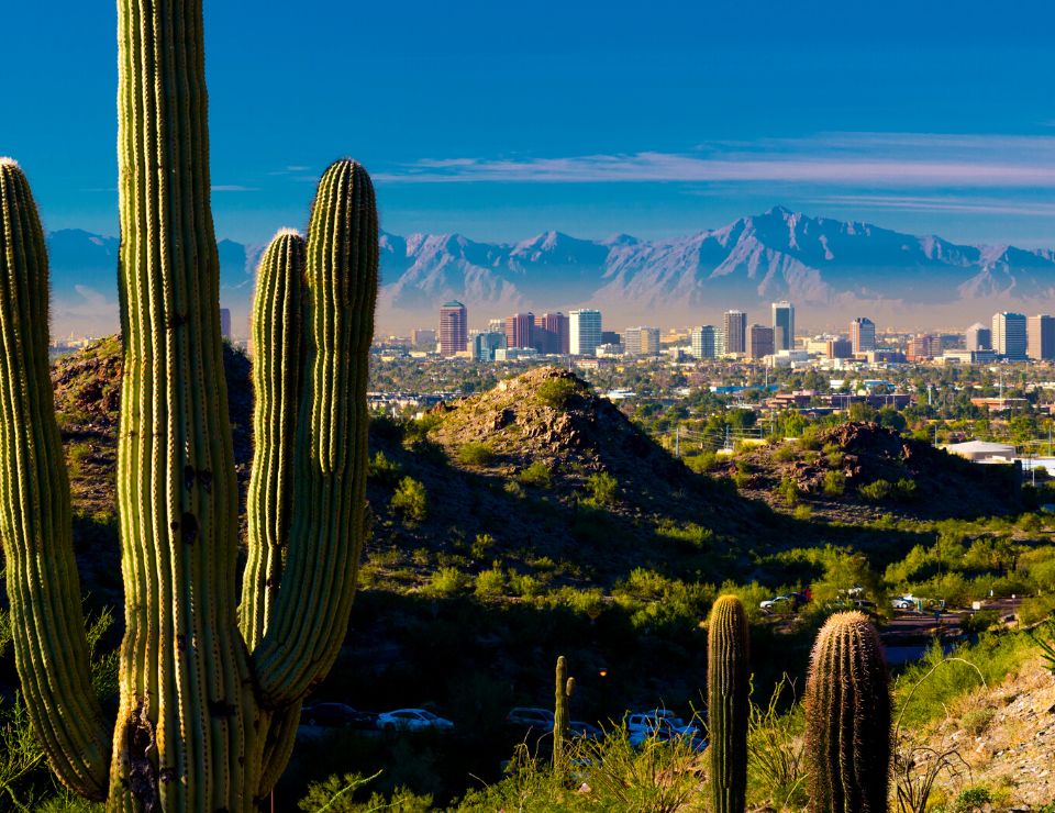 view of Phoenix in the summer with cacti, Ten things to know about summer in Phoenix Arizona (1)