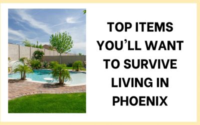 Survival Guide: 18 Must-Have Items for Living in the Desert of Phoenix, Arizona